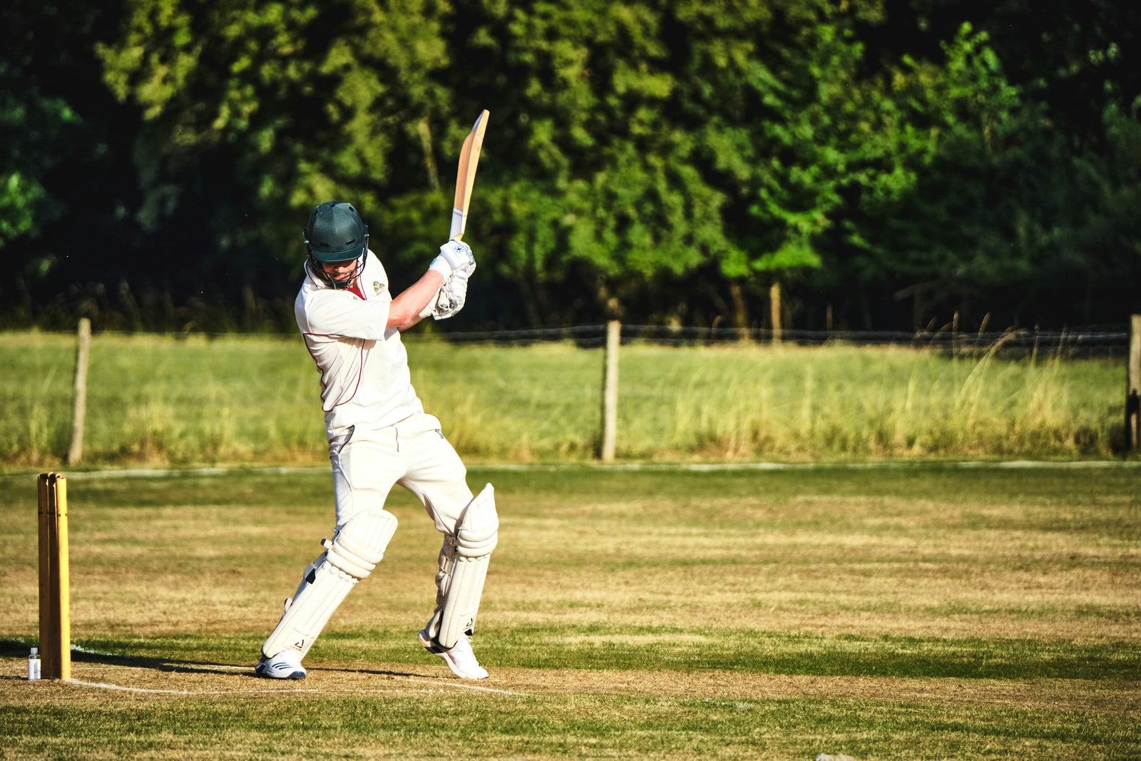 Cricket