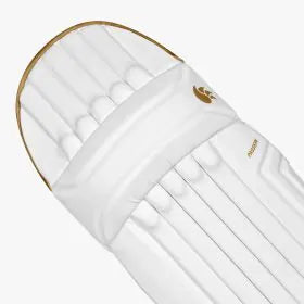 dsc-blegguard-intense-passion